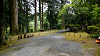 camp29 (205)_thumb.png